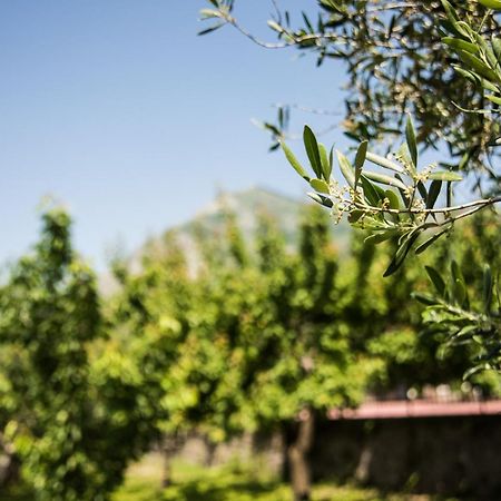 Casa Vacanza Dal Cavaliere Montesarchio Exteriör bild